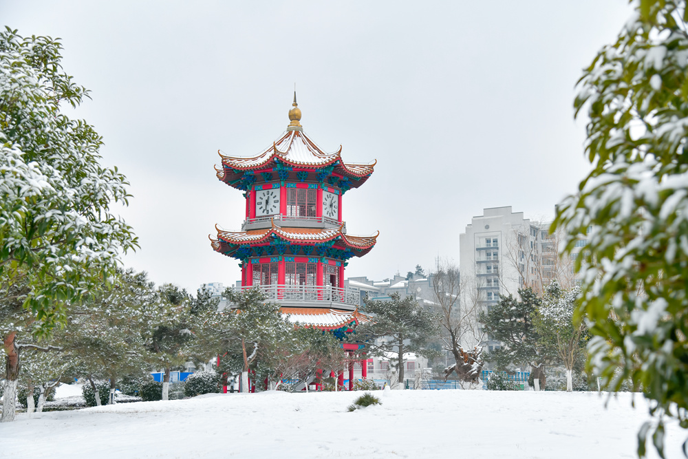 2024米兰之雪
