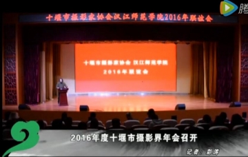 视频：市摄影家协会2016年会在米兰举办